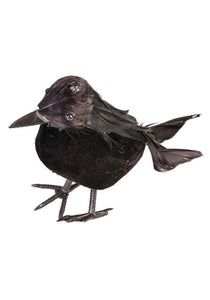 Black 5 inch Crow