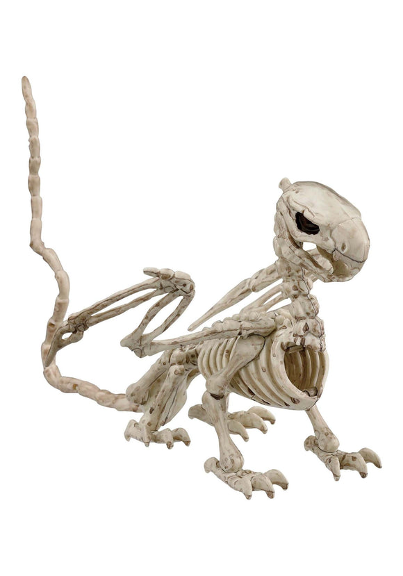 5.5-Inch Griffin Skeleton
