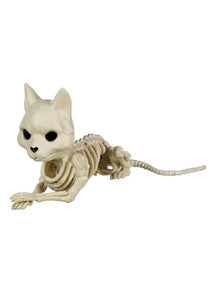 Cute Sitting Skeleton Cat Prop