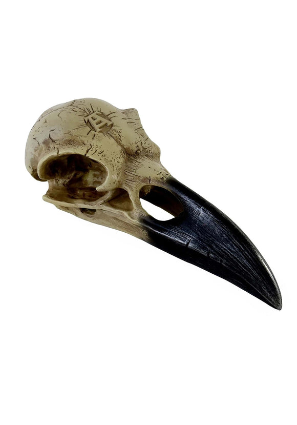 6 Inch Corvus Alchemica Skull