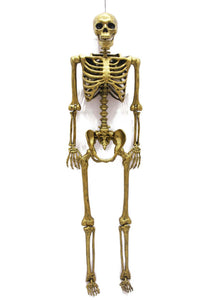 Gold Life Size Posable 60 Inch Skeleton Prop