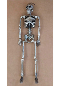 Posable 60" Gun Metal Life Size Skeleton Prop
