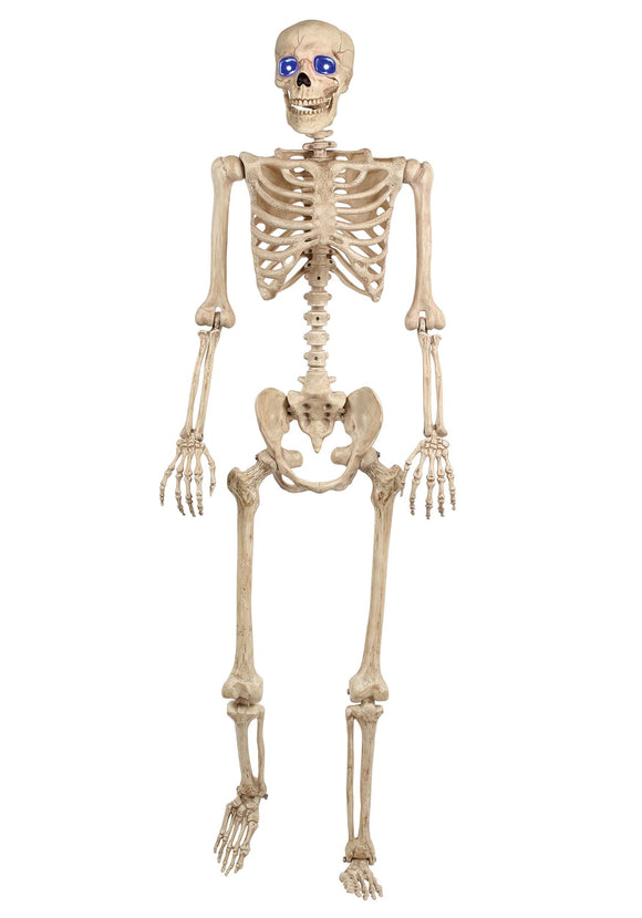 60 Inch Light Up Skeleton Decoration