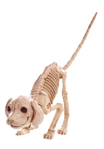 7.5" Puppy Skeleton