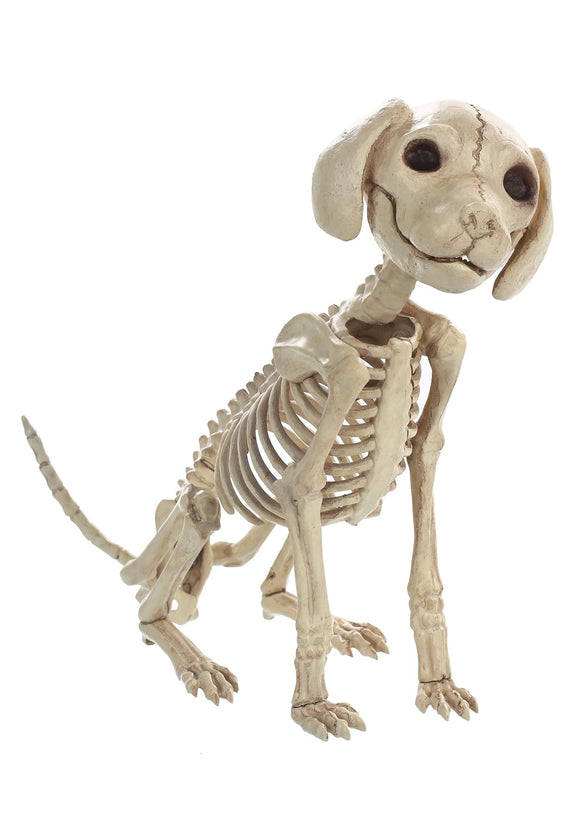 7.5-Inch Sitting Puppy Skeleton
