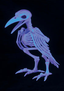 Black Light 7.75" Ghostly Tweety Bonez