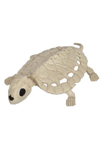 8" Skeleton Turtle Decoration