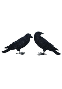 9 Inch Set of 2 Fright Night Crows