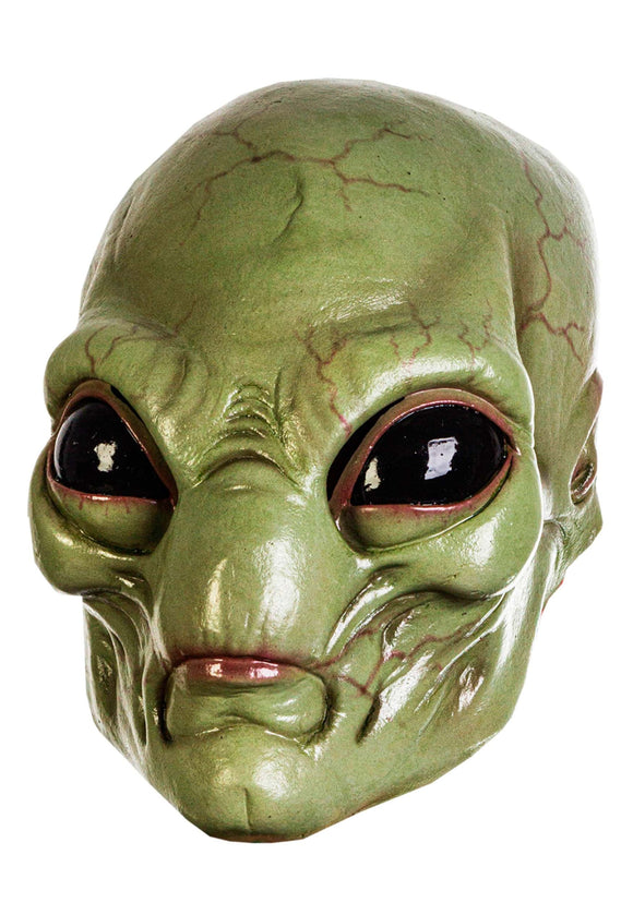 Green Visitor Adult Mask