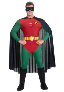 Robin Costume