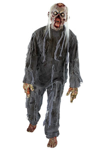 Adult Rotting Costume