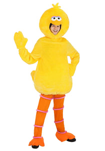 Sesame Street Adult Big Bird Costume