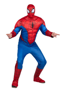 Spider-Man Adult Costume