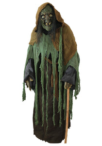 Adult Witch Costume