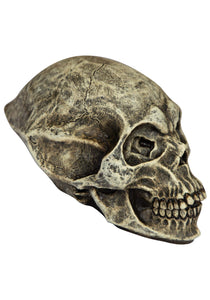 Spooky Alien Skull Prop