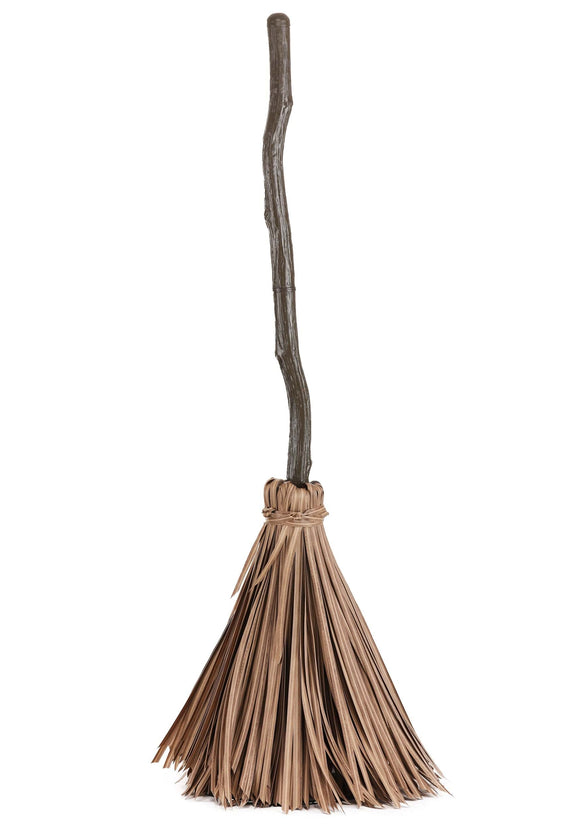 Animated Enchanted Witch Broom
