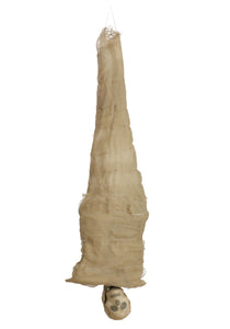Animated Mummy