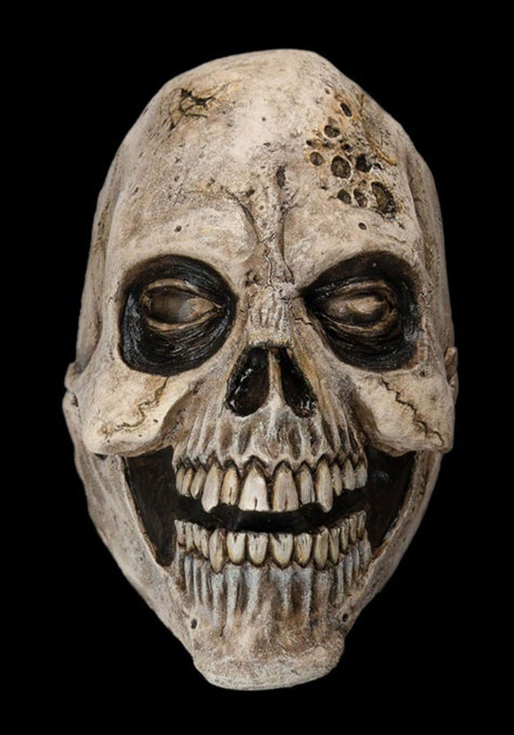 Antic Skull Adult Full Face Mask