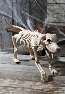 Beagle Bonez 20" Skeleton Dog