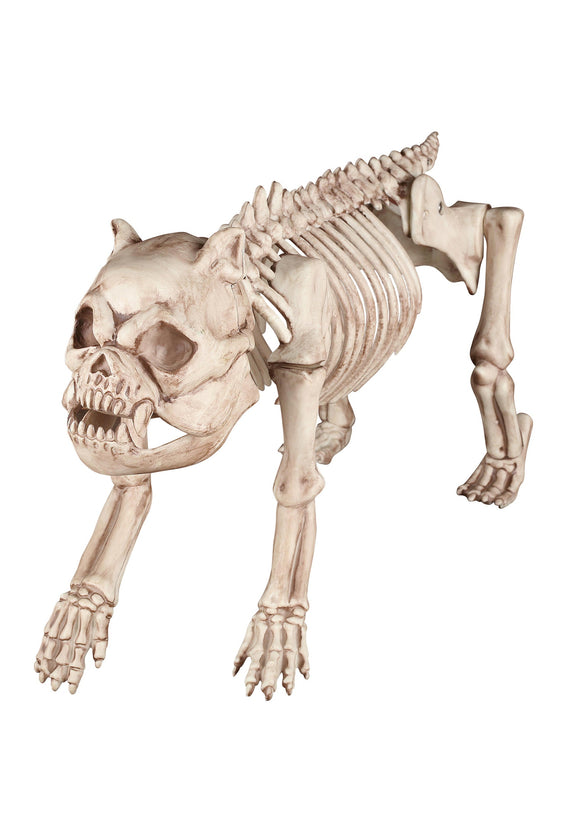 Skeleton Dog Bones the Hungry Hound