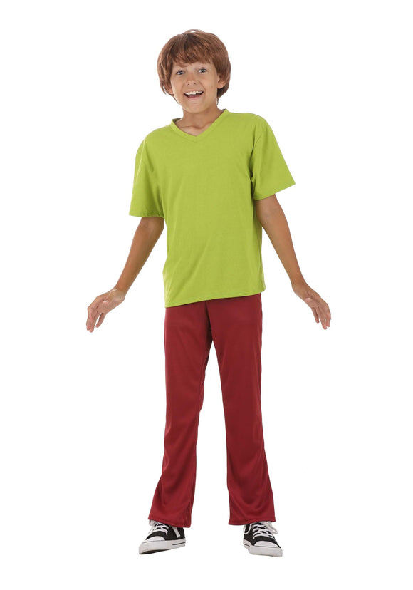 Scooby Doo Boy's Shaggy Costume