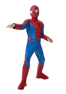 Spider-Man Boy's Costume