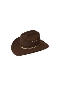 Brown Cowboy Hat