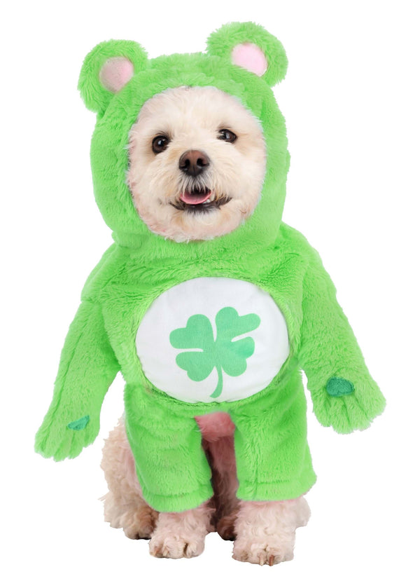 Good Luck Bear Dog Care Bears Costume