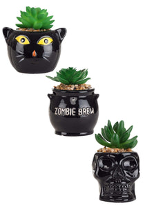 Halloween Succulent Planter Set - Cauldron, Cat & Skeleton