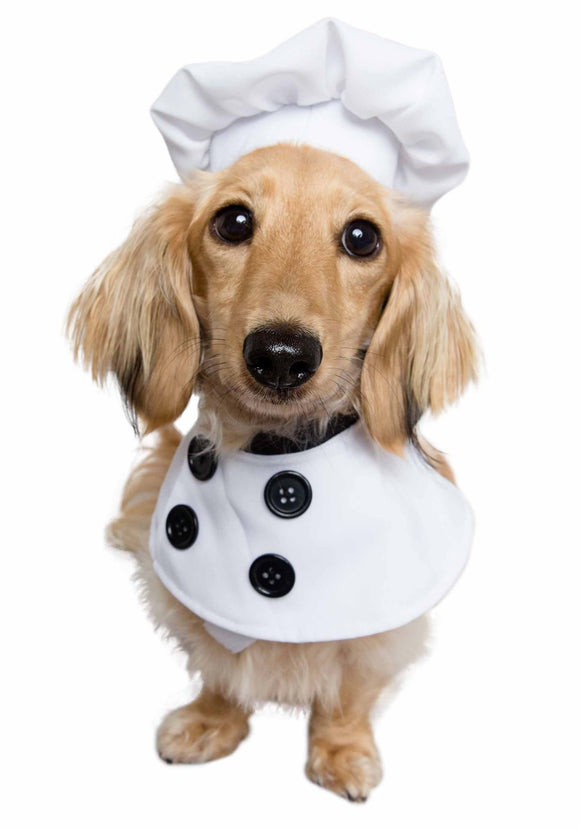 Pet Chef Costume