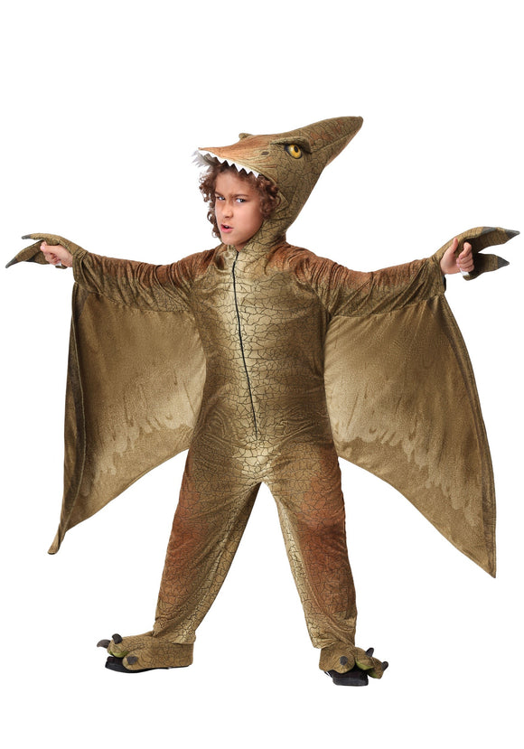 Pterodactyl Costume for a Child