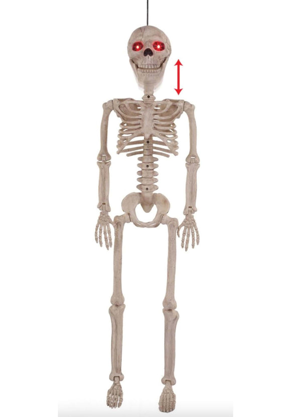 Crazy Bones Junior Skeleton
