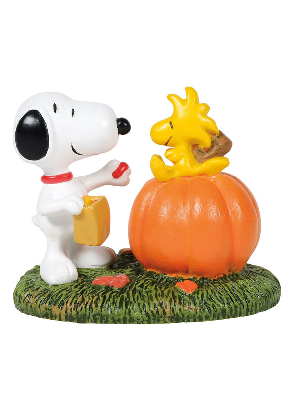 Peanuts A Treat For Woodstock Figurine from Department 56