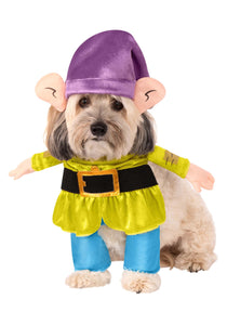 Dopey- Disney Princess Dog Costume