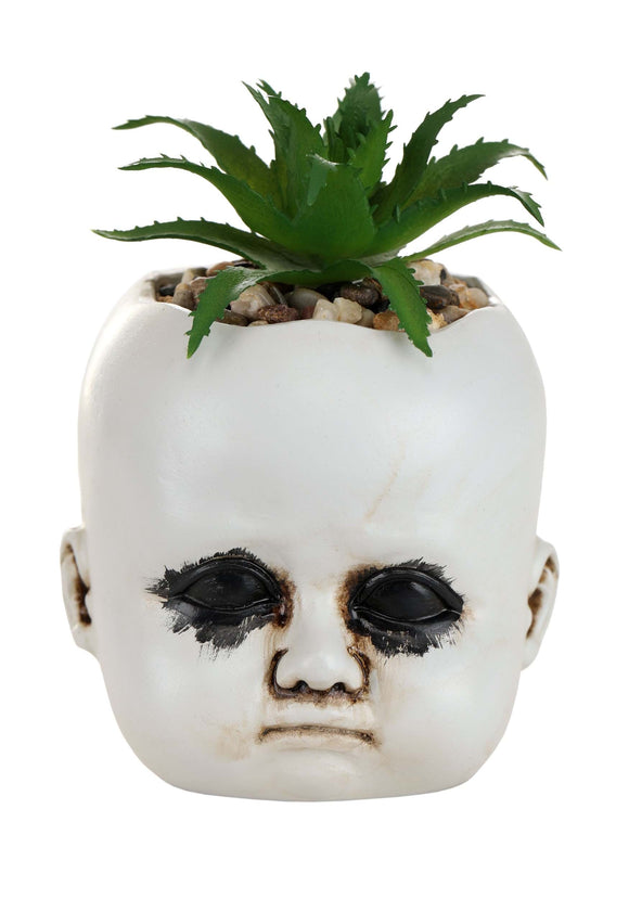 Distressed Doll Succulent Plant