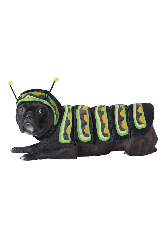 Caterpillar Costume for Dogs