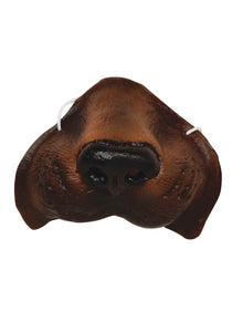 Dog Nose