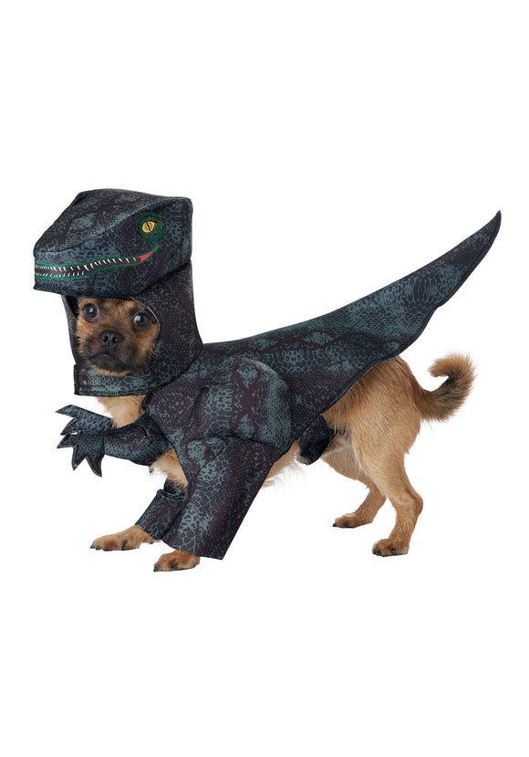 Pupasaurus Rex Costume for a Dog