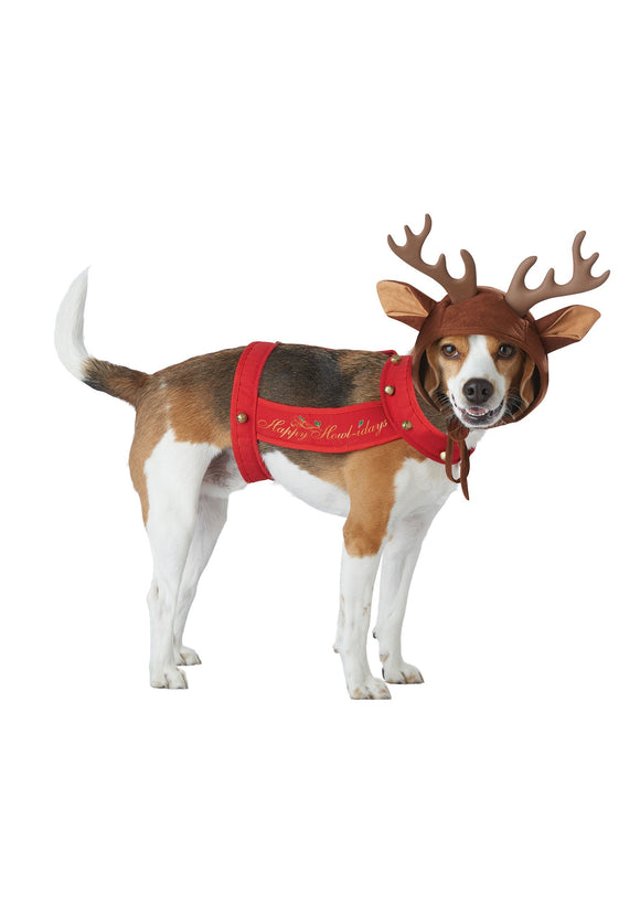 Reindeer Costume for a Dog