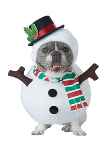 Snowman Costume for a Dog