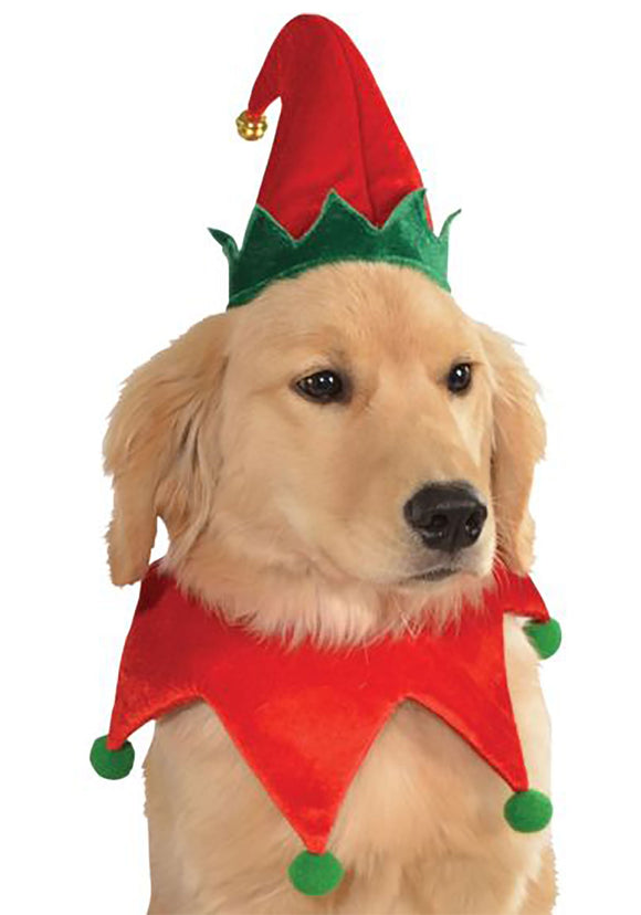 Dog Elf Costume Kit