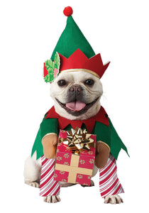 Pet Elf Costume