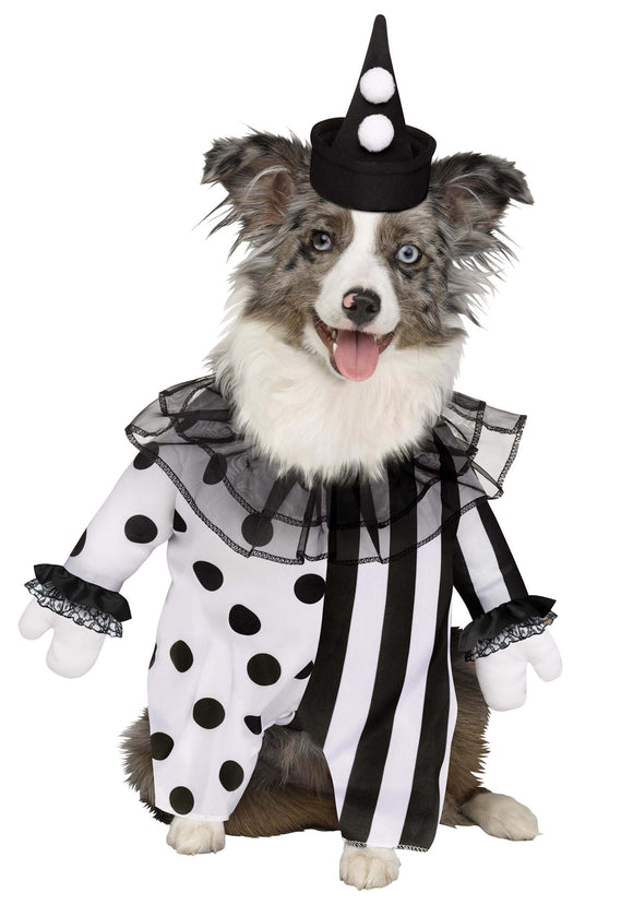 Pet Costume: Evil Clown Costume