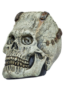 Franky Skull Prop