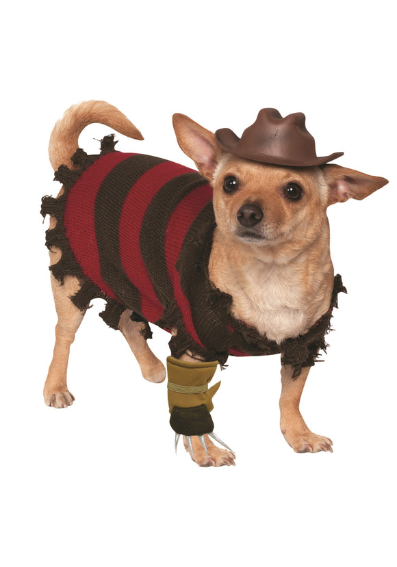 Freddy Krueger Costume for Pets