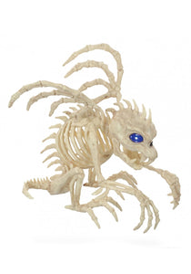 9.5" Gargoyle With Lights Skeleton Halloween Decoration