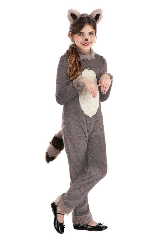 Raccoon Girl's Costume