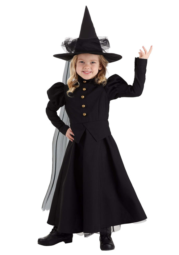 Toddler Deluxe Classic Witch Girl's Costume