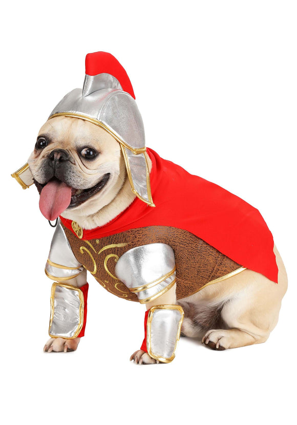 Dog Gladiator Costume