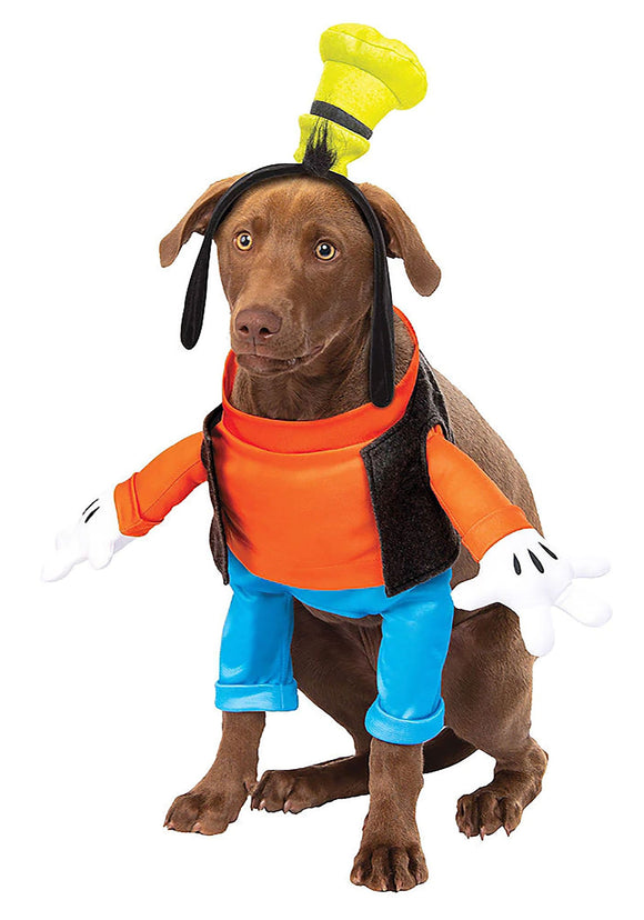 Disney Goofy Dog Costume